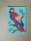 Aceo Original Colorful Macaw Parrot Tropical Bird On Branch Painting By Kcrea — photo 3