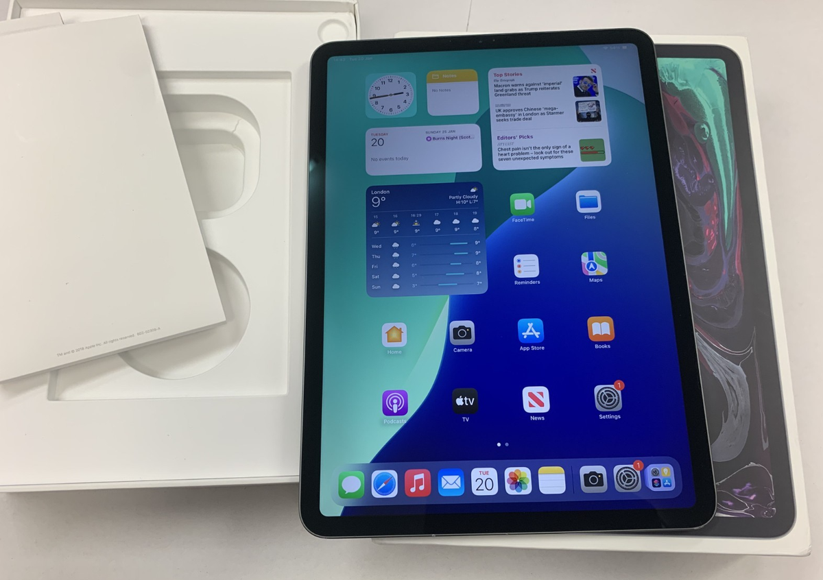 Apple iPad Pro 1st Gen. 256GB, Wi-Fi, 11 in - Space Grey for sale