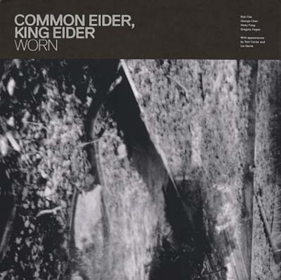 COMMON EIDER, KING EIDER - Worn