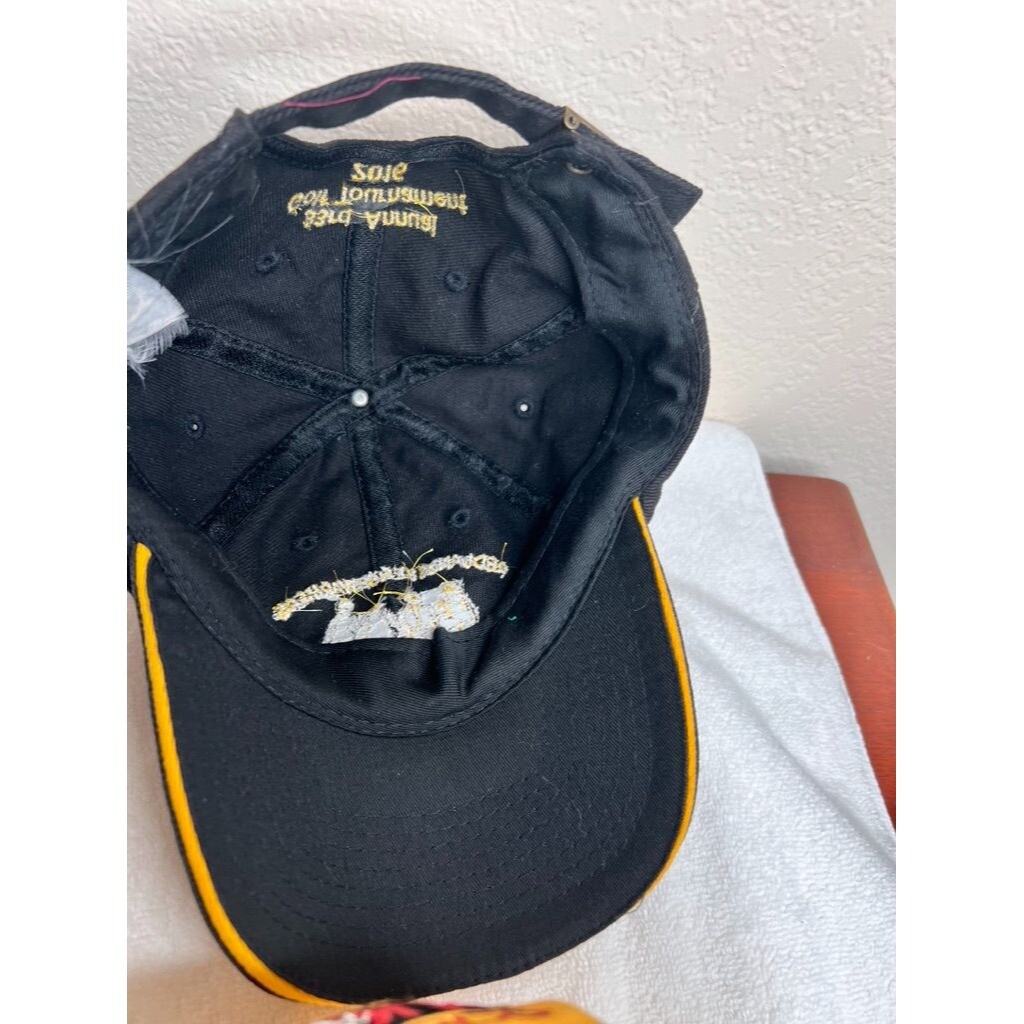 4 Assorted Baseball Cap Bundle - Sky Box 17 Taz B… - image 8