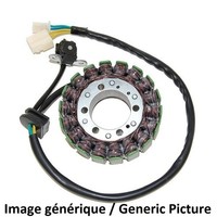 Stator Electrosport-Kawasaki Ninja 300 FüR Motorrad Ersatzteile ZubehöR Teile