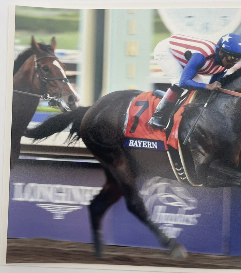 2014 Breeders Cup Grade 1 Classic Bayern & Martin Garcia 8x10 Photo - Image 2 of 4