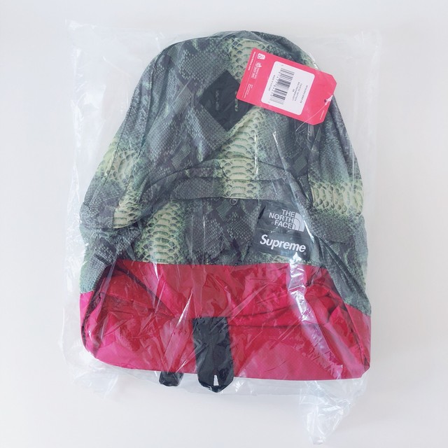 supreme the north face snakeskin lightweight day pack
