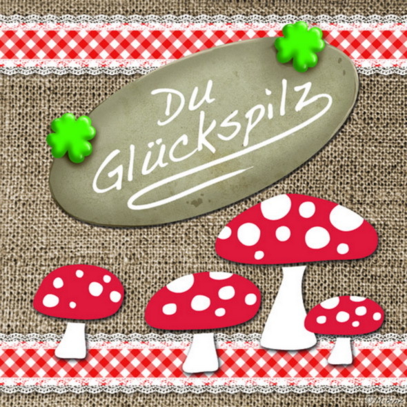 "*20 Servietten\"GlüCkspilz\"Alpenchic*HüTtenzauber*Herz*Karo*Elch 33X33"-image