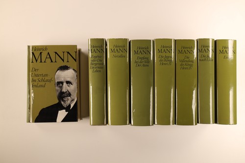 217149 Heinrich Mann WERKAUSWAHL IN 10 BÄNDEN HC - 8/10 Bänden TOP-Zustand!