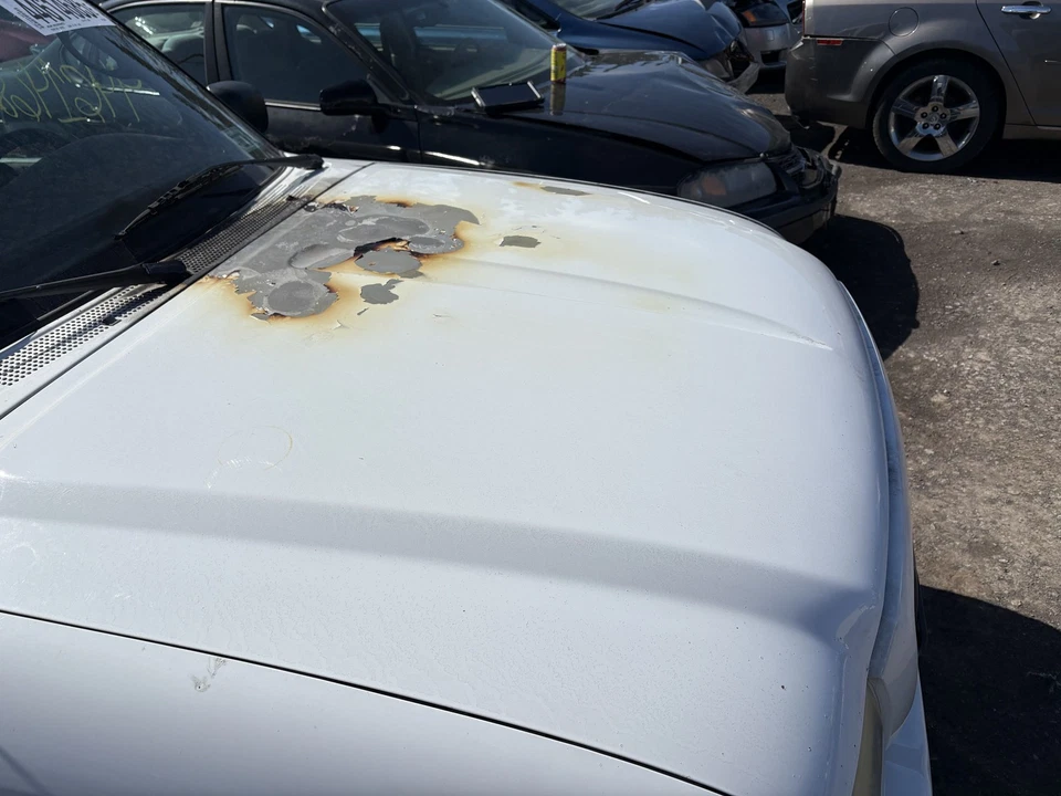 Hood FORD RANGER 04 05 06 07 08 09 10 11 - Image 2 of 3