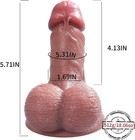 Bild 8 von 8