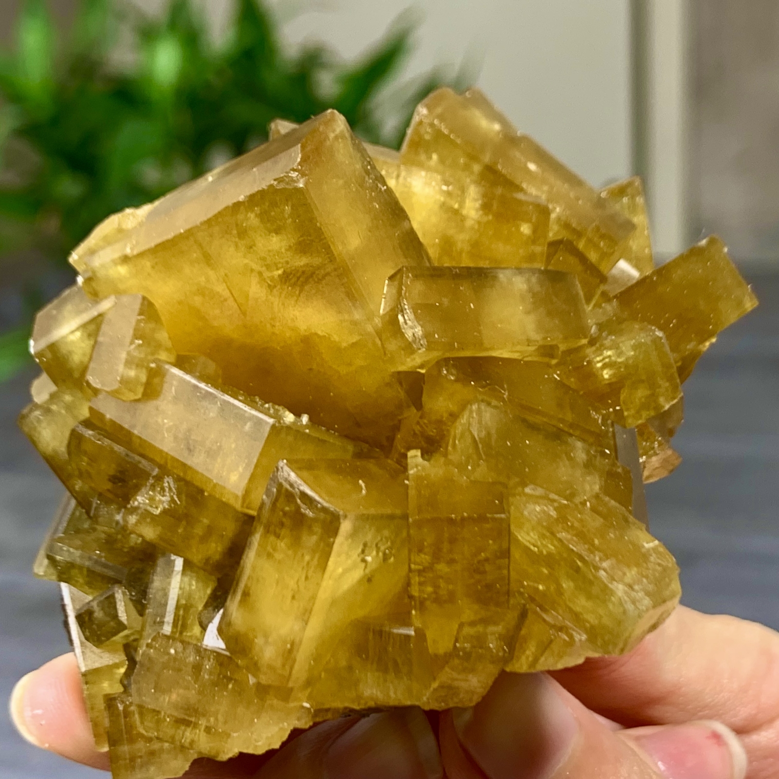 327G Shiny Golden Barite Cuboid on Purple Spherical Fluorite Crystal
