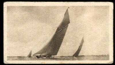 Tabakkarte, Godfrey Phillips, SPEED CHAMPIONS, 1930, Shamrock, #25