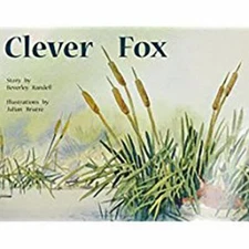 Clever Fox: Individual Student Edition Yellow; Lev- 0763560057, paperback, RIGBY