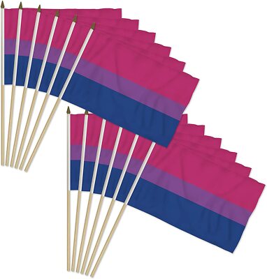 1 Dozen Bisexual Flags 12x18in Stick Flag Bi Pride LGBT Pride Flag 100D ...