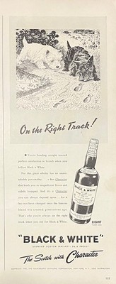 1940's Vintage Original Antique Cute Black White Whiskey Bourbon Terrier Dog AD
