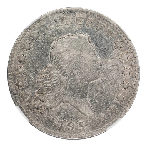 1795 Flowing Hair Half Dollar NGC F Details