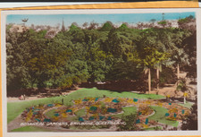 BOTANICAL GARDENS BRISBANE QLD 106MM X 67MM PHOTOGRAPH CARD C1940