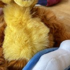 Bild 12 von 15