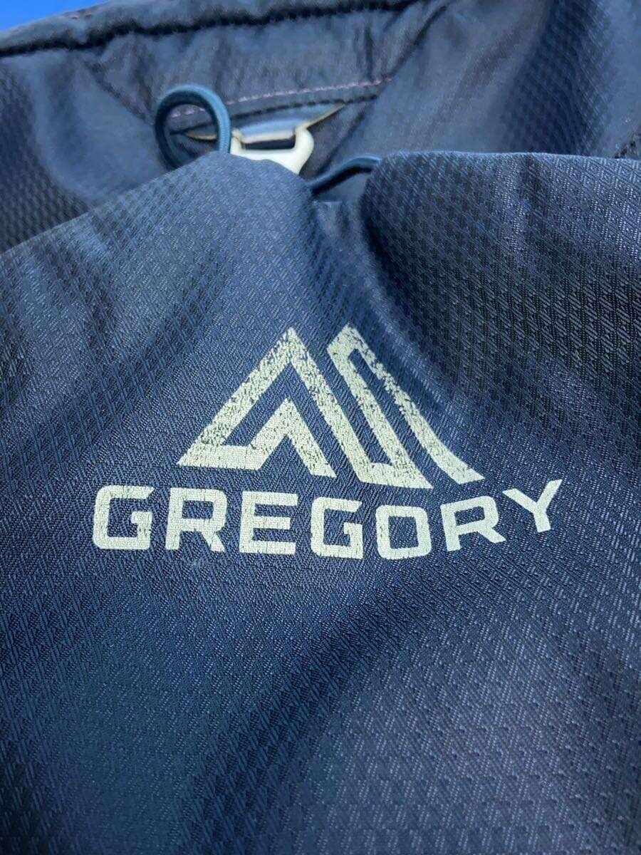 GREGORY Backpack - Condition Considered - Blue Pl… - image 5