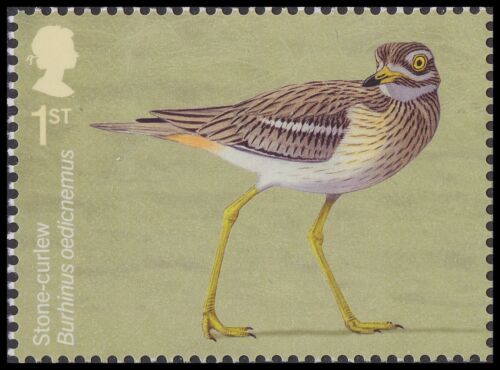 GB 4656 Migratory Birds Stone-curlew 1st single MNH 2022 - Picture 1 of 1
