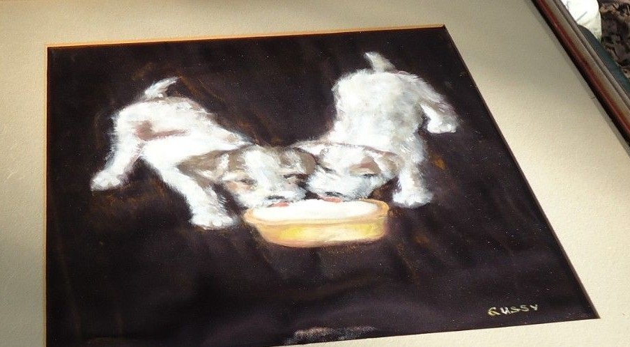 Picture 4 of 10