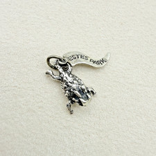 Vintage Sterling Silver Estes Park Colorado Horned Toad Dangle Charm Pendant