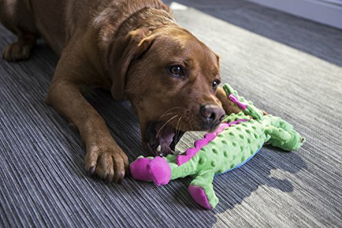 go dog tough for fun