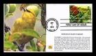 DR JIM STAMPS US COVER HAWAIIAN RAIN FOREST AMAKHI FIRST DAY ISSUE MPG CACHETS