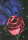 Barclay Shaw 1995   Individual Trading Cards