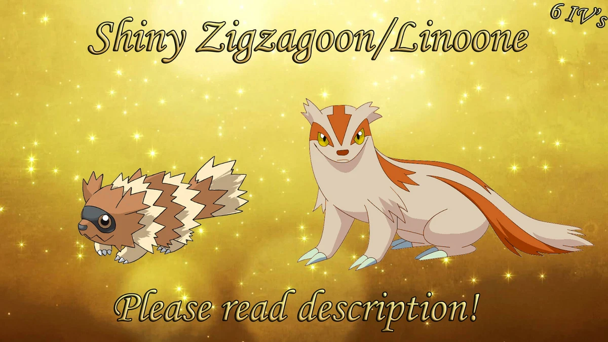 Shiny Zigzagoon Pokemon X