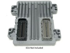 E38 PCM VATS Anti-theft Delete PCM Service fo...
