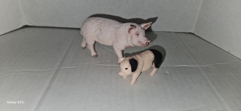 Schleich Pigs