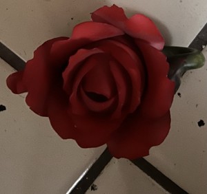 Otagari Red Rose Petal Teapot