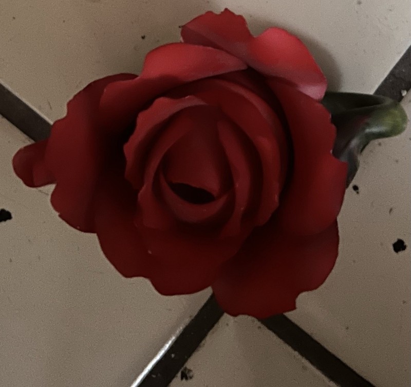 Otagari Red Rose Petal Teapot