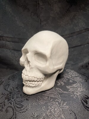 Human Skull Statue decoration stone cast 2lbs gardening outdoors gargoyle