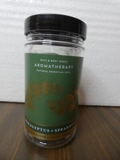 Bath Body Works Aromatherapy Eucalyptus Spearmint Shower Steamers 4.8 oz / 6