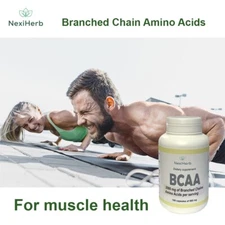 BCAA Branched Chains Amino Acids 100 caps musles Builder Nexiherb USA