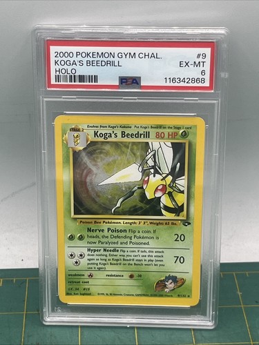 Koga's Beedrill (Unlimited) graded PSA 6 for sale on eBay