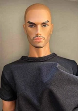 12.5" Integrity Toys Nu Face Homme~Tantric Lukas Maverik Figure~LE 725~New~NRFB