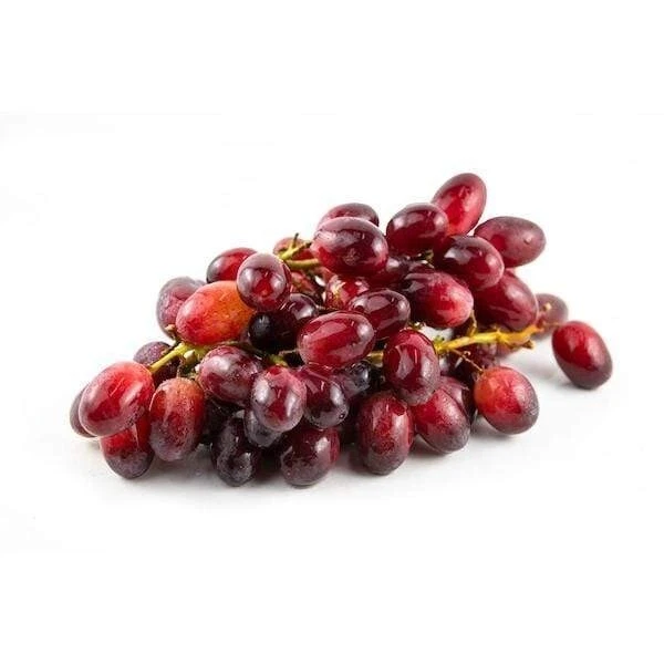 Candy Hearts red seedless grape vine- 2 cuttings, no roots