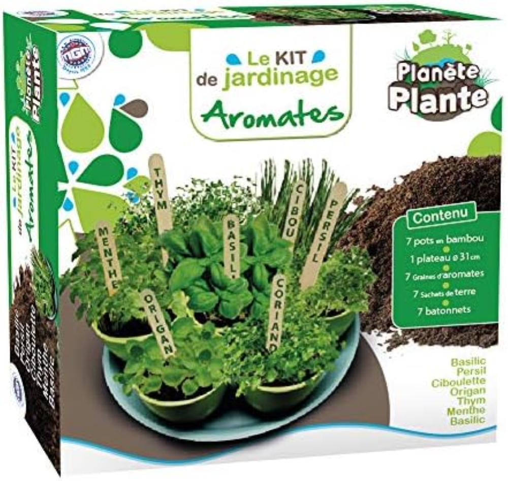 7 vasi biodegradabili e semi aromatici da piantare su un vassoio - Kit da giardi