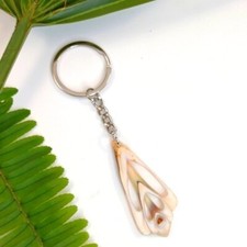 Seashell Keyring Slice Conch Seashell Keychain Clearwater Beach, Florida