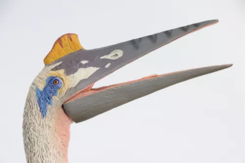 TNG Quetzalcoatlus Model Jurassic Dinosaur Animal Figure Toys Xmas Gift Decor - Picture 14 of 24