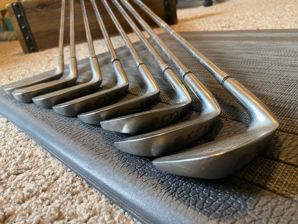 Wilson 1200 LT Golf Club Set Iron 3-9 and PW V2 R Flex (Set
