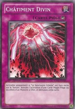 Yu-Gi-Oh: Divine Punishment - SDLS-FR033 - Commune - NM - FR