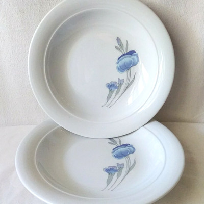 Vintage Kahla Porcelain Bowl Set of 2 Blue Floral German Democratic Republic