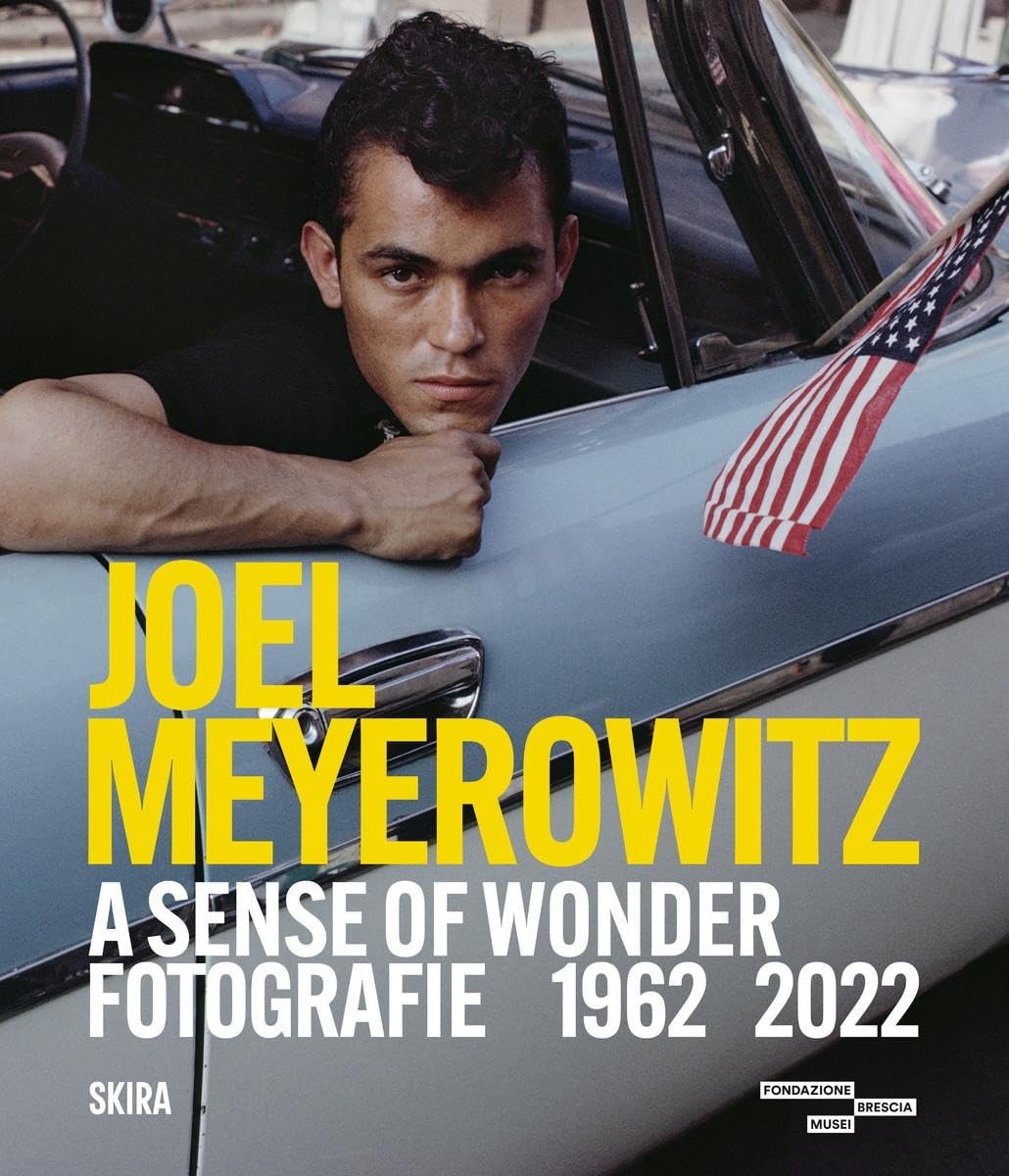 Joel Meyerowitz A Sense Of Wonder - Image 4