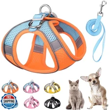 PETPUBGNZS Soft Small Dog Harness and Leash Set Mesh Puppy Harnesses Leash Ea