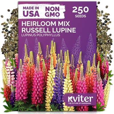 Wildflower Garden Seeds - Russell Lupine Mix 250 Pollinator Perennial