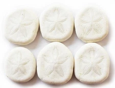 6 Sea Biscuits (Sea Cookies) 1.5"+ (39 mm) Beach Crafts, Beach Wedding, Nautical