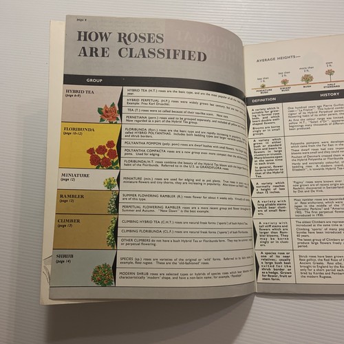 BE YOUR OWN ROSE EXPERT-Dr.D.G.Hessayon, Harry Wheatcroft (magazine Style Guide) - Picture 6 of 8