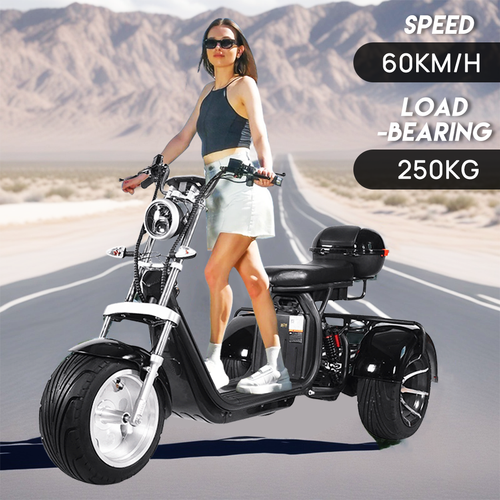 Adult 3000W Electric Tricycle Bike 60V Trike 3 Wheelers Electric Scooter E-Bike