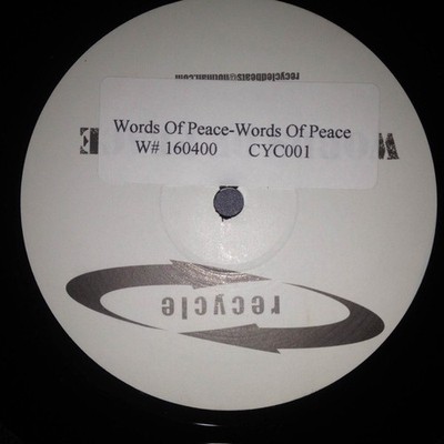 Tom Tom Club - Words Of Peace - UK Promo 12'' Vinyl - 2002 - Recycled Beats